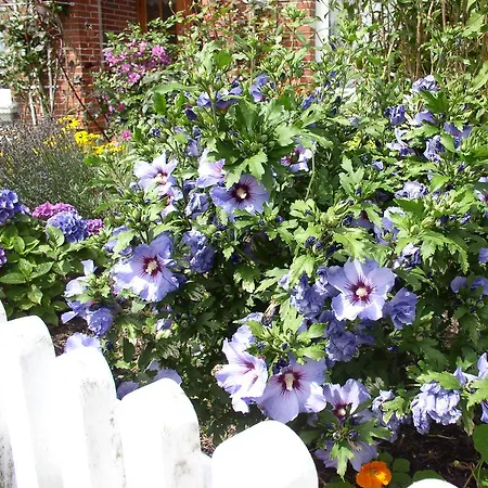 Fischerhus Prázdninový dům